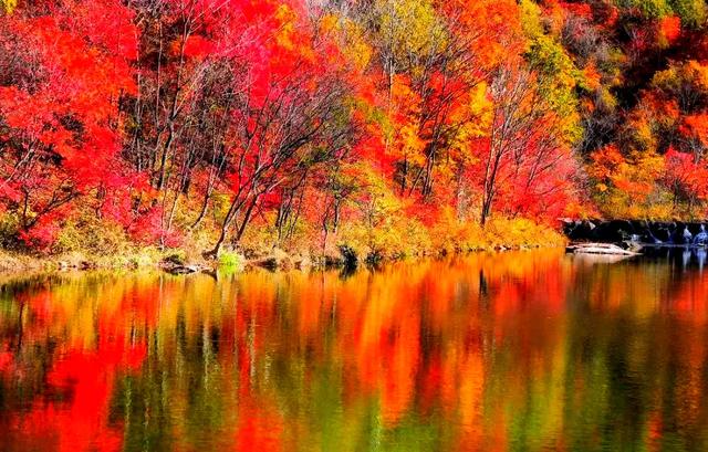 初雪与红枫共舞:11月自驾G331国道,探秘中朝边境的限定美景