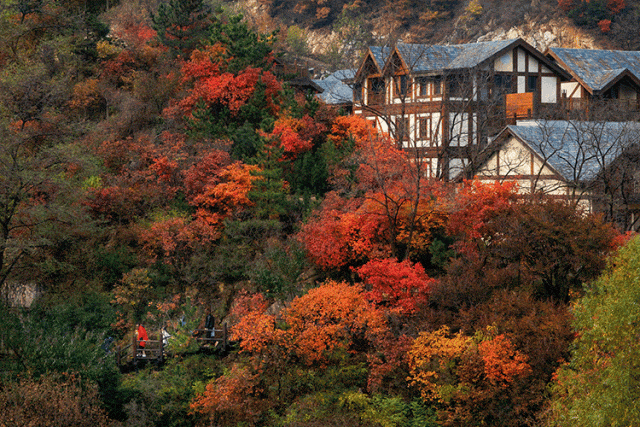 抱犊崮入选山东金秋醉美红叶观赏地