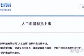 人工血管获批上市，改善血管病变患者的耗材需求图片