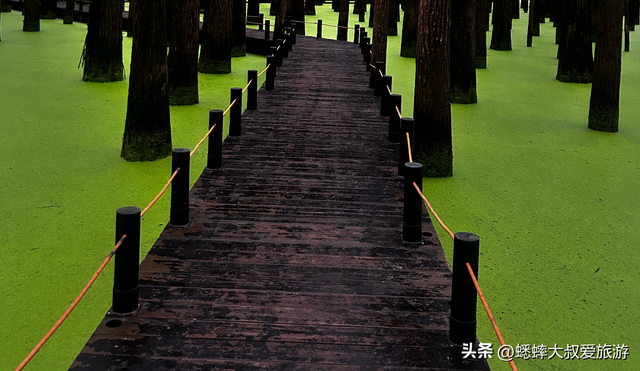 超惬意的2026杭州五一攻略游来了，赏花，祈福，游船，一个都不少