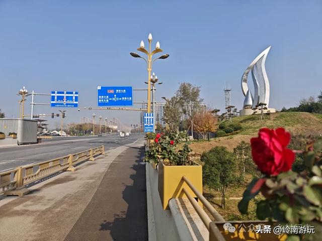 从西安出发1小时，隐藏在高陵河堤路边水上森林，美的令人窒息！