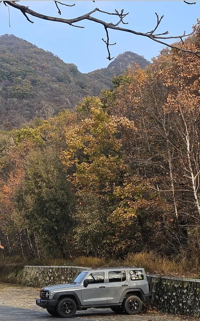 一脚踏进雪与秋的交界处，京郊深山里藏着深秋最温柔的惊喜！​