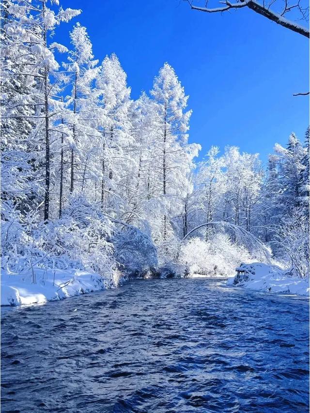 收到一封长白山的冰雪来信，邀你重逢
