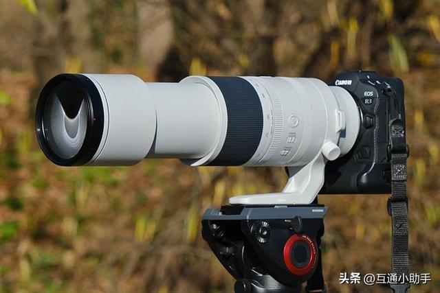 佳能RF200-800mm F6.3-9 IS USM评测！支持800mm焦距的自动对焦镜头