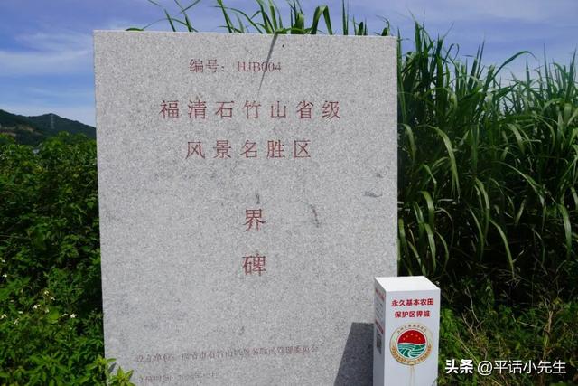 寻找福州八月最美的稻田