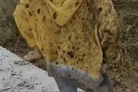 “和暗恋多年的女同学爬山滚成了这样子，回去可怎么交代啊”，哈图片