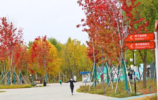 长春北湖公园：湖光秋色两相宜