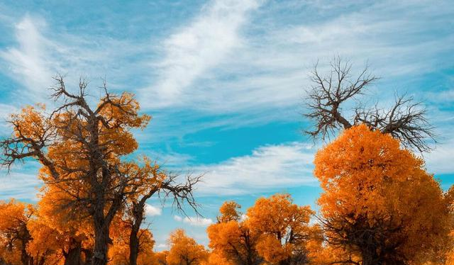 家中老人离世时，留下这几样东西，是来害儿孙的，别不信