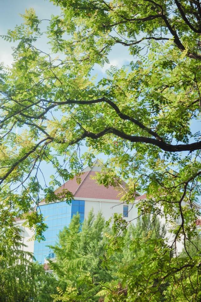 高清大图来袭！北交大夏日限定美景，请查收→