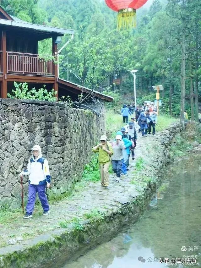 周末徒步去!这个有"温州版武功山"之称的名山,你可要去爬一次