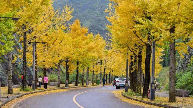 秋日限定“皮肤”上线，藏蓝连接成功