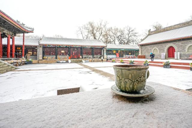 下了!下了!快来东城赏雪吧!