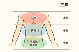 体内湿热反反复复，清除不净，关键在于三焦不通！图片