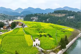 最近的遵义，粉红黄橙绿紫！图片