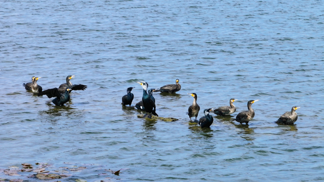 2025最后一场旅行，来泽州主打一个“爱你老己”