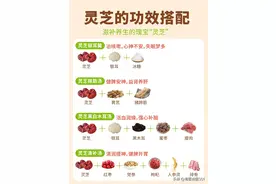 灵芝的功效搭配：健脾安神、益肾养肝、强心补脑……图片