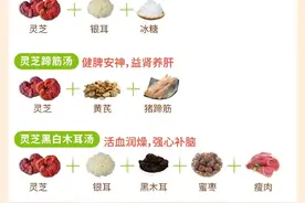 灵芝的功效搭配：健脾安神、益肾养肝、强心补脑……图片