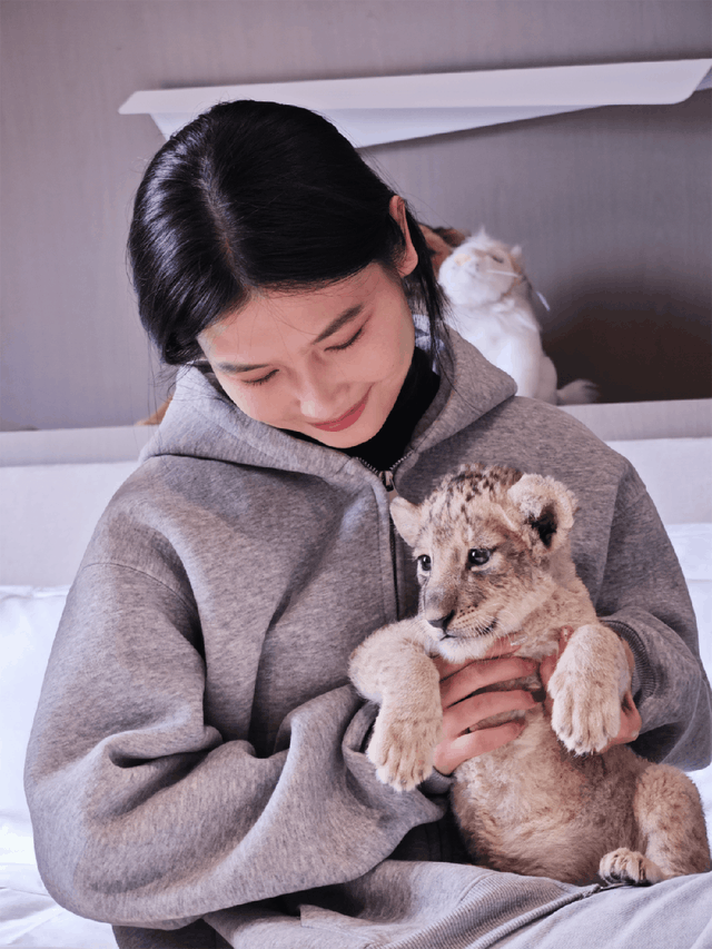 【萌狮叫醒服务】上线！快来给“最萌查房官”取个神仙名字吧！