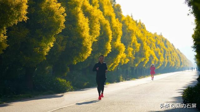 旅居吧！在石屏阳光灿烂的冬日里
