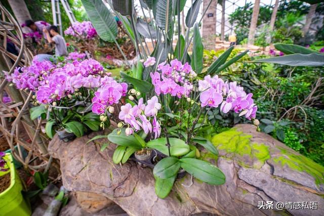 两性关系：男人要知道，女人无论多大年龄，都喜欢身边有个人陪着