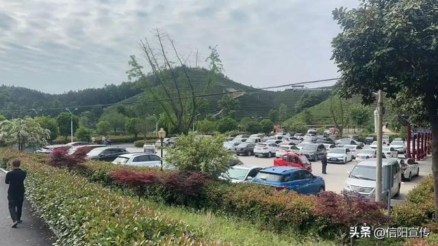 雨停了，天晴了，信阳文旅又人气爆棚了