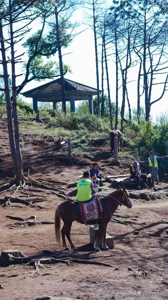 天然火山地质博物馆！腾冲 5A 景区 火山温泉 + 徒步解锁地质秘境