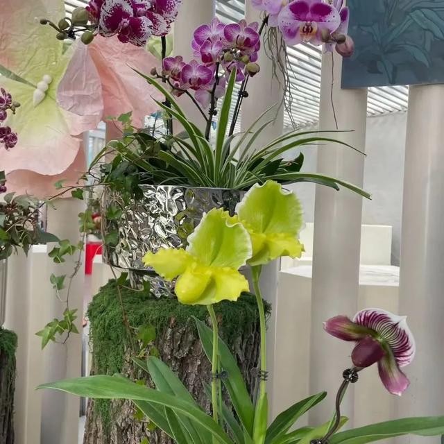 出门冻手冻耳朵！丰台室内去哪儿最温暖，戳——