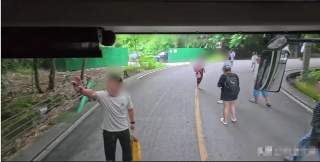 果树突发交通瘫痪！因众人堵死摆渡车道场面惊人，究竟咋回事？