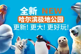 新的哈尔滨极地公园，今夏亮点揭晓！图片