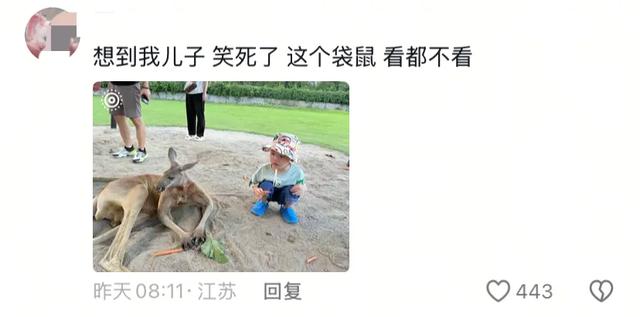 笑麻了！国庆的动物们都吃出工伤了！一看评论区动物们都EMO 了