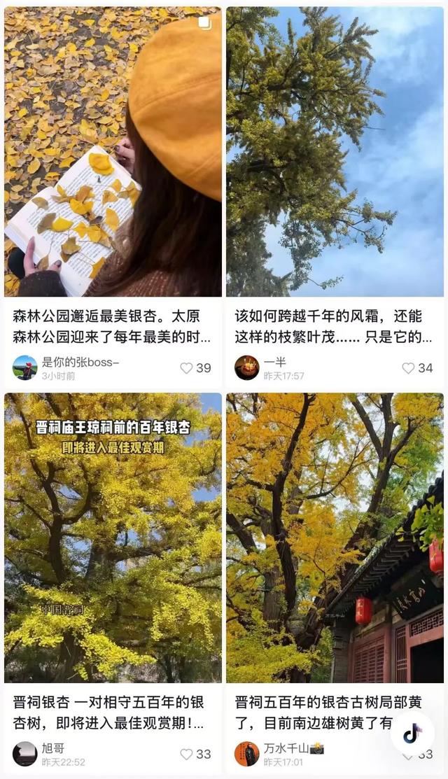 “刷爆”山西人朋友圈的金色，谁看谁心动