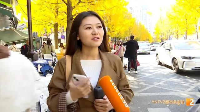 全网刷屏！银杏浓度已达100%！近期昆明这条街“杀疯”了