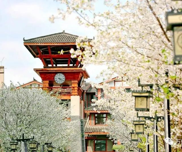 游重庆｜这份攻略助你看球、出游两不误，速戳→