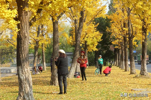 无锡吴都路，金色的世界