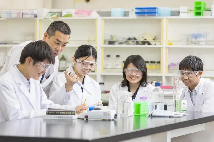 请输入图片描述 请输入图片描述