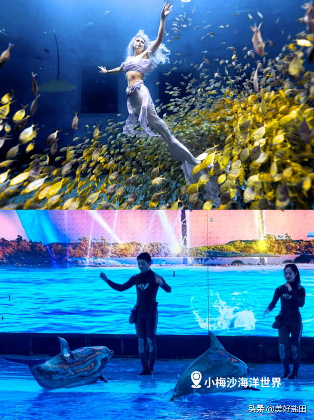 @永州朋友！小梅沙请你免费玩一整年！