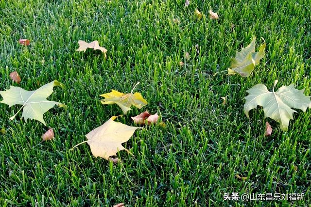 偶遇贾江虹·刘文顺先生来访