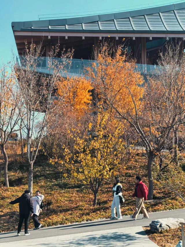 发现丰台之美 | 满目鎏金，层林尽染！南森美如画——