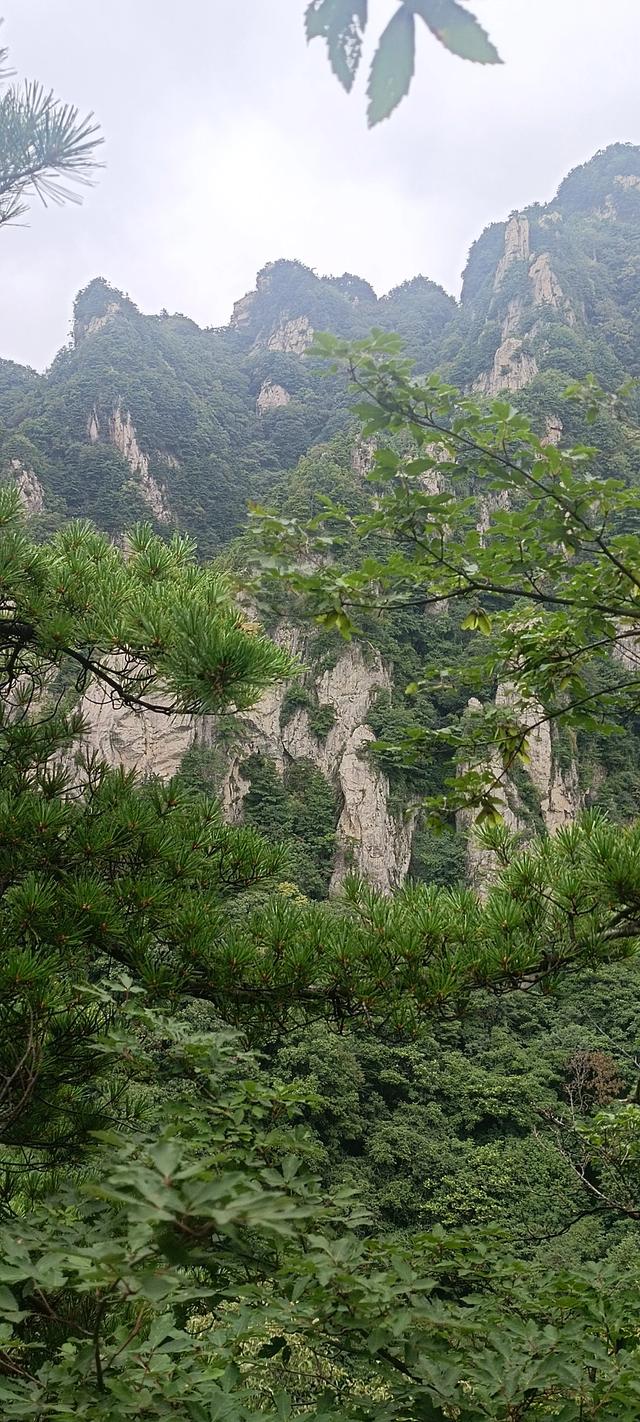 王顺山观景台风光