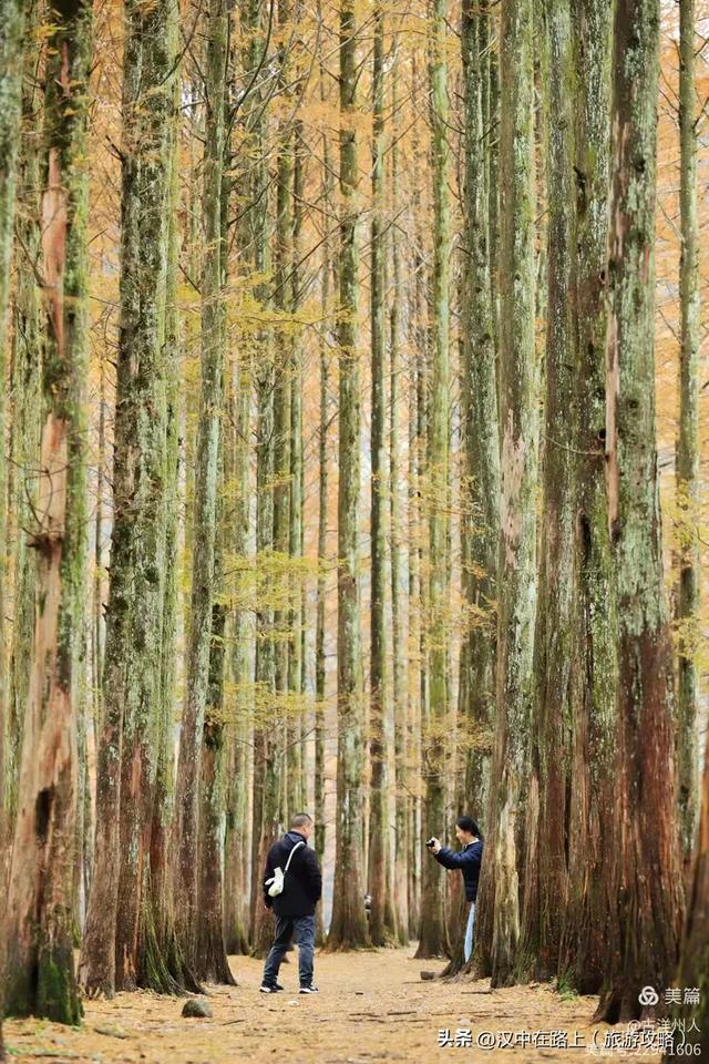 龙池秋色惹人醉