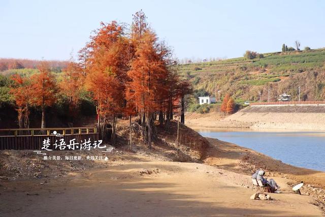 浙江绍兴的网红水库，因红杉胜境而出圈，具体怎么游请看详细攻略