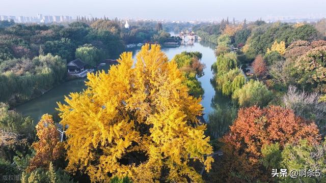 江苏扬州的冬天美得像一幅画！