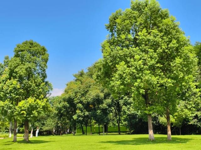城市美学秘境｜邂逅邛窑国家考古遗址公园的初秋意韵