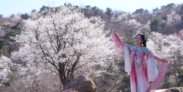 春风十里，不如大洪山有你！全国女士免门票，男士半价！还有专属福利等您来～