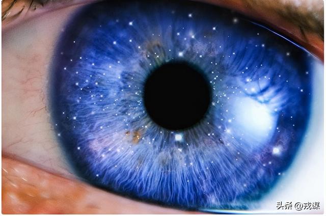 人类独占意识？鸟类没大脑皮层，却照样有意识！意识不是人类专属