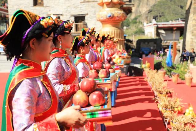 接下来，小金是这样的~