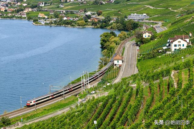 欧游杂记（2）‖ 日内瓦湖畔的美丽：从日内瓦到蒙特勒