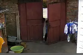 家庭惊悚瞬间：6岁孩子抓巨蛇回家，奶奶的反应让网友大呼过瘾！图片