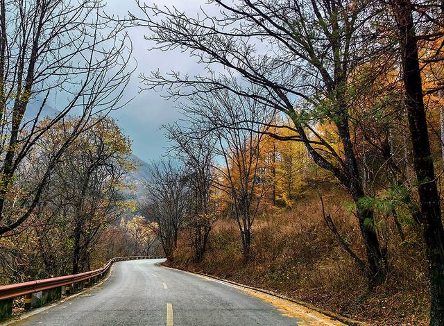 2024深秋四川行19 神农架风景区2 华中屋脊的五彩秘境