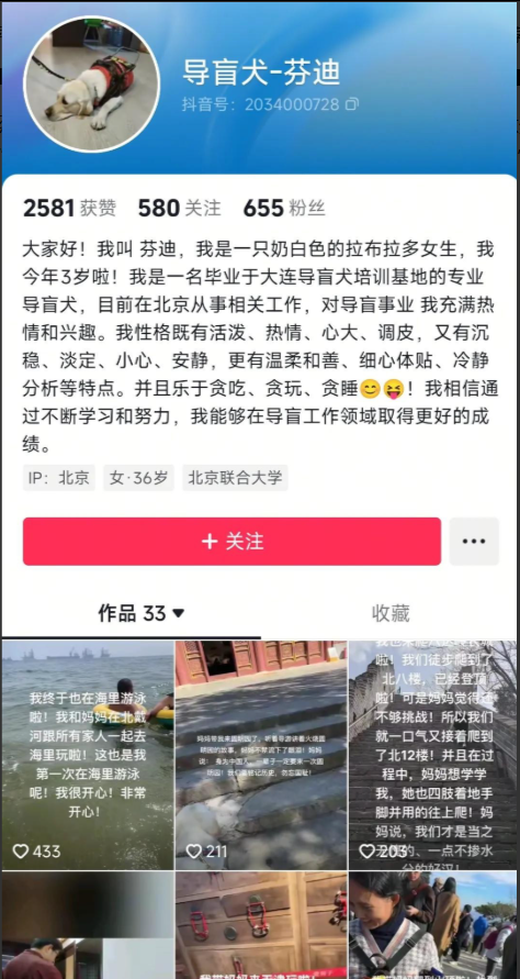 带导盲犬爬泰山的夫妻被网友批评，导盲犬芬迪看着非常累
